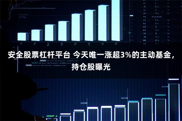 安全股票杠杆平台 今天唯一涨超3%的主动基金，持仓股曝光